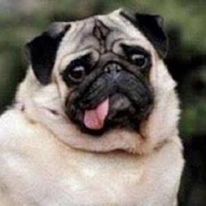 Meet your Posher, Inamae